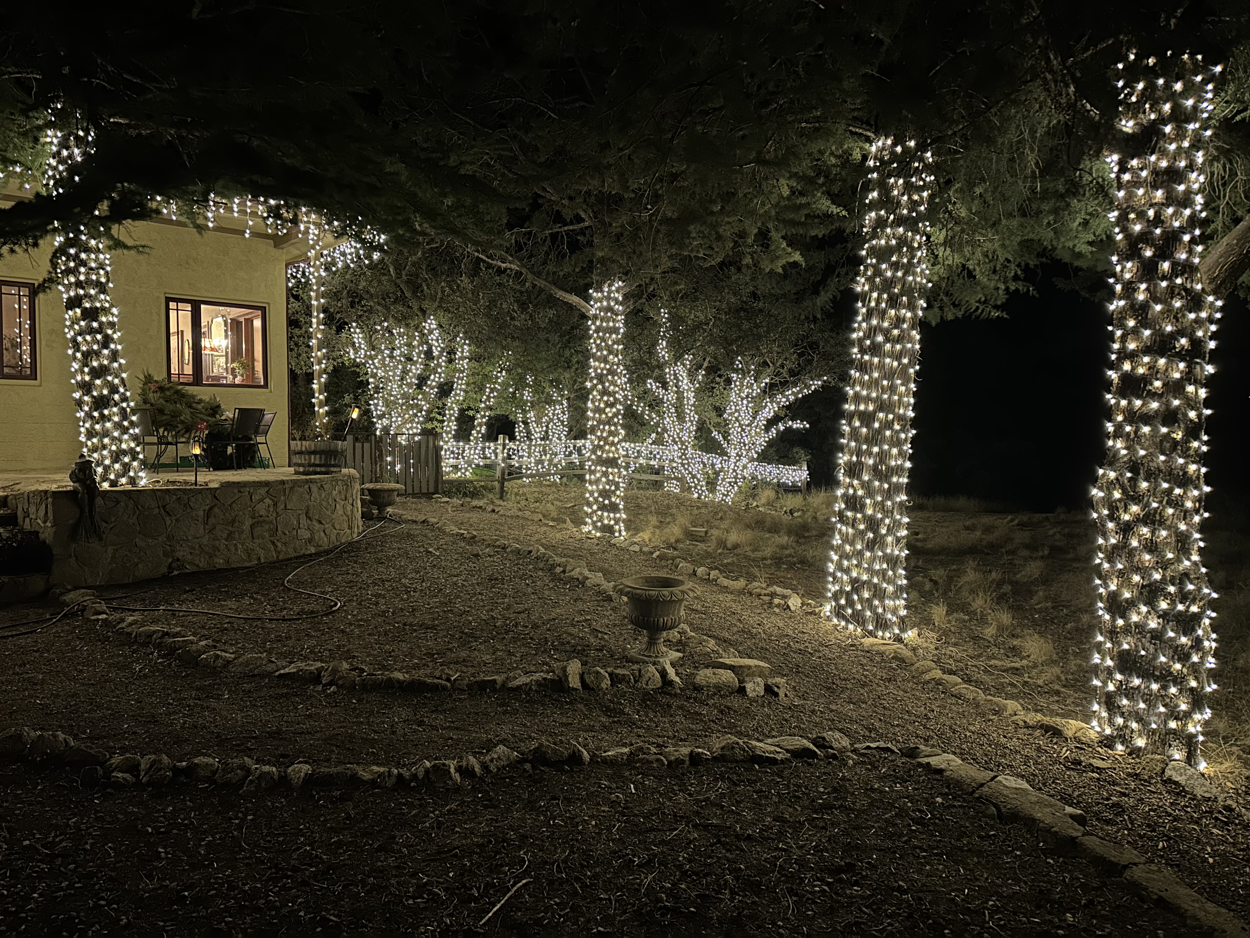 Tree Wrapping & Lighting